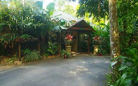 Heritage Lodge - In The Daintree